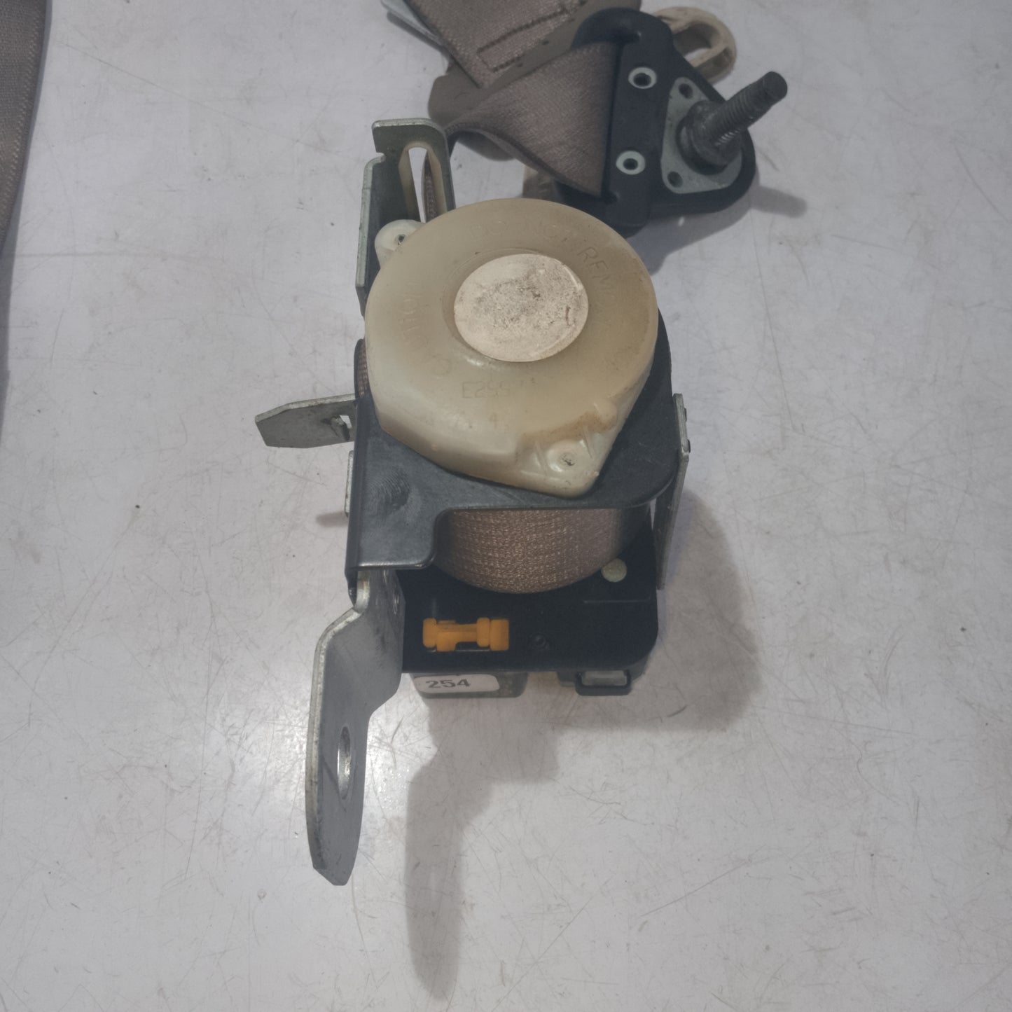 Seat Belt | Rear Passenger Side | Explorer