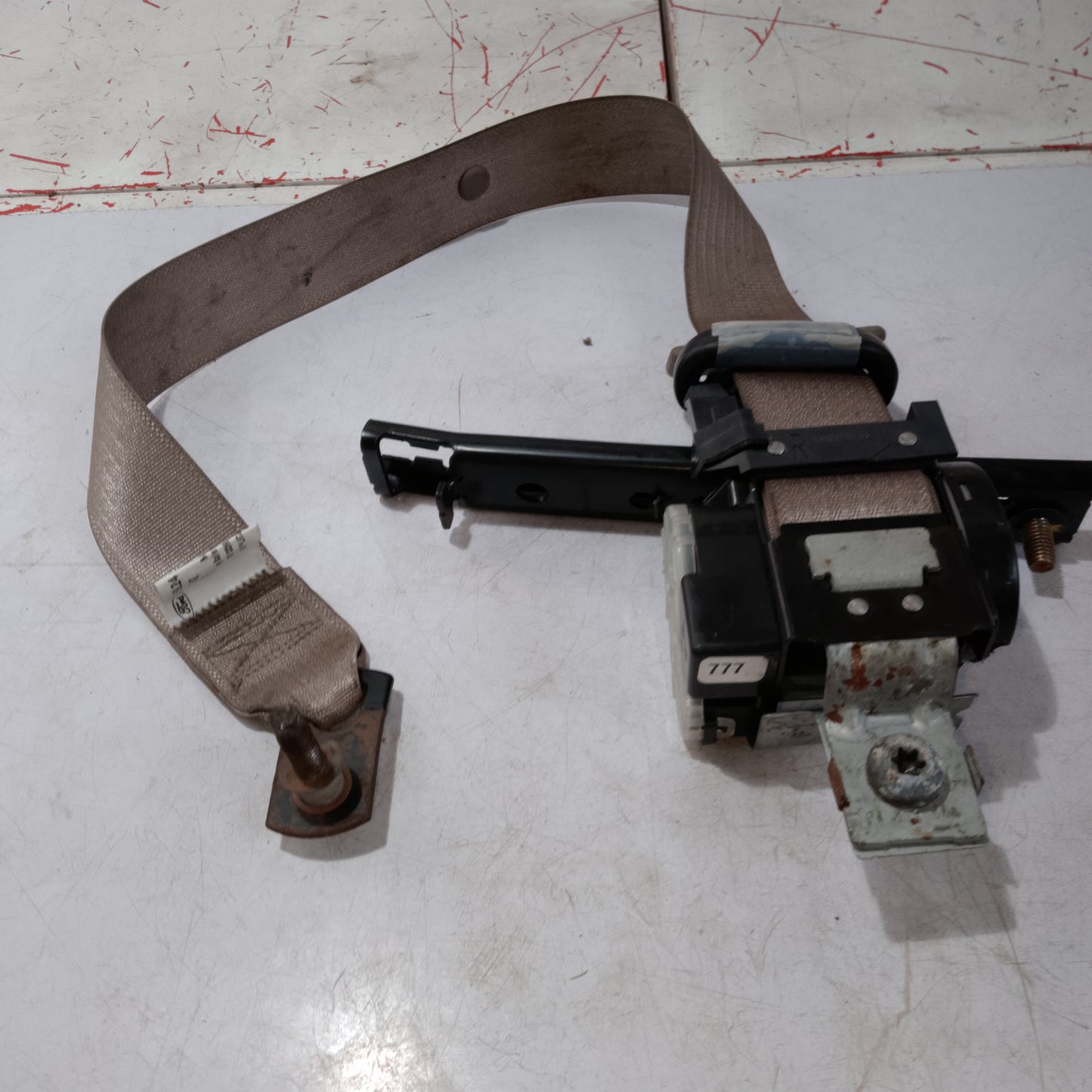 Seat Belt | Rear Passenger Side | Explorer