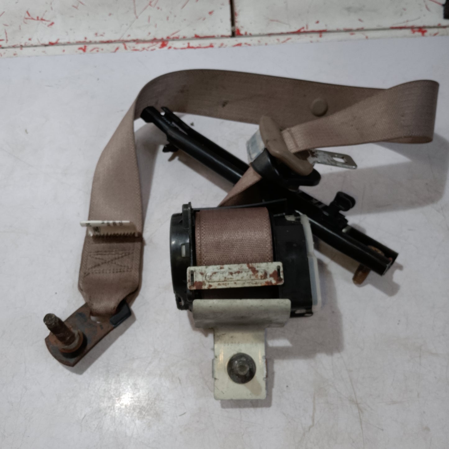 Seat Belt | Rear Passenger Side | Explorer