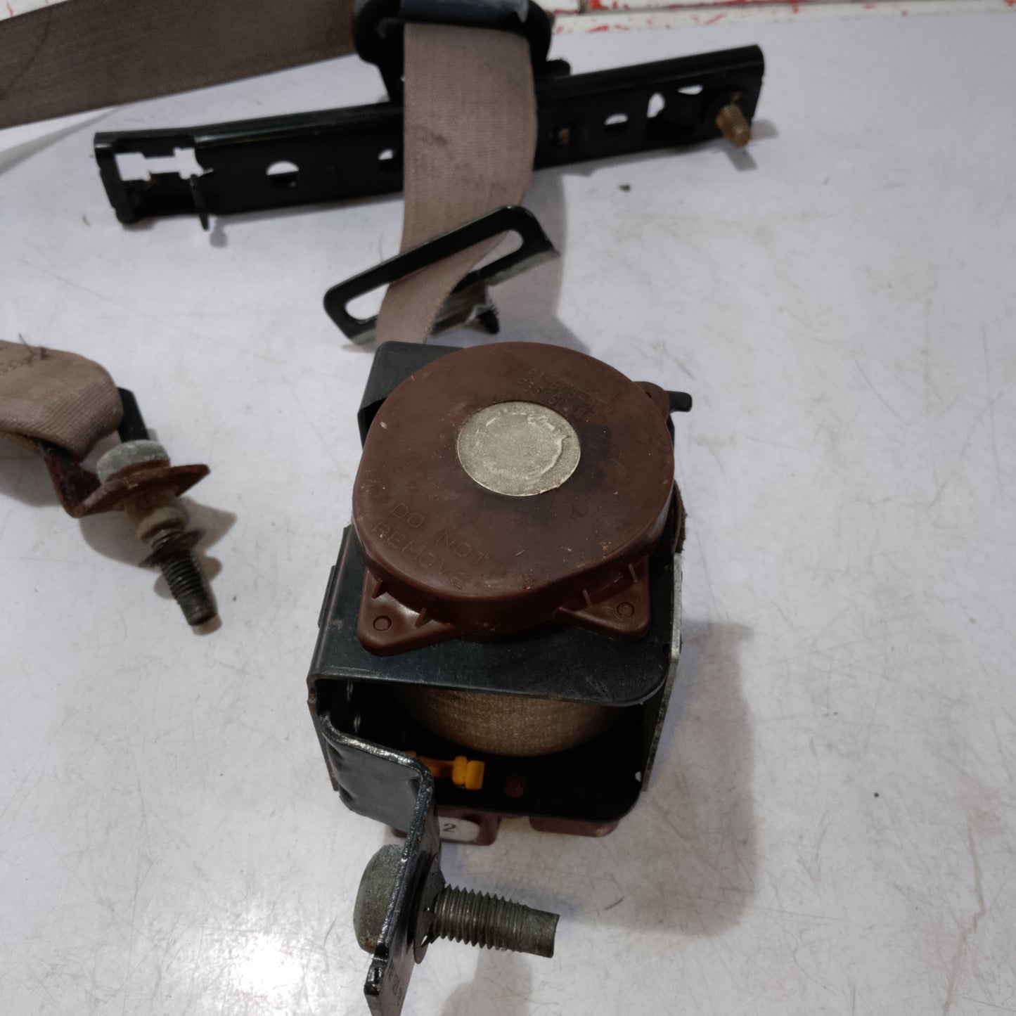 Seat Belt | Front Driver Side | Explorer