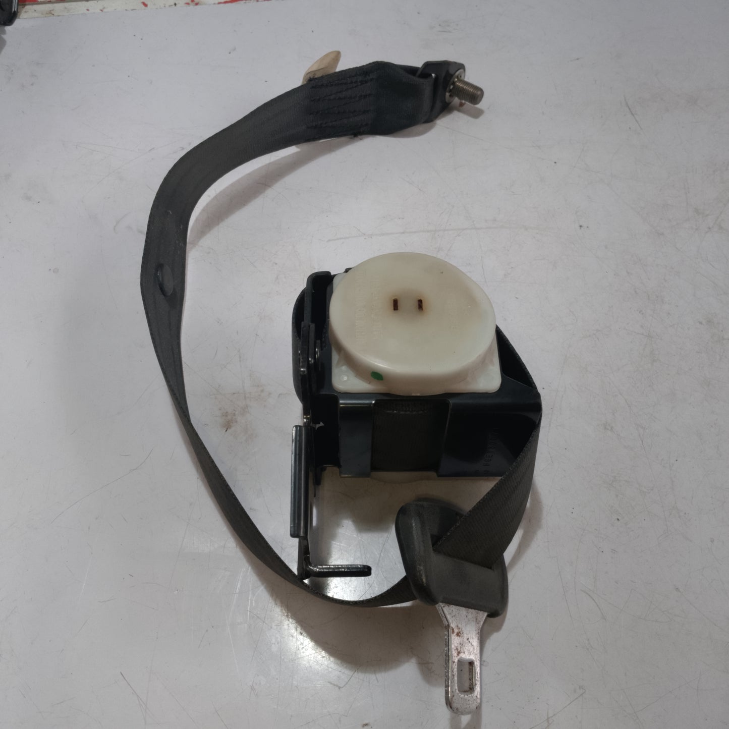 Seat Belt | Rear Driver Side | Subaru