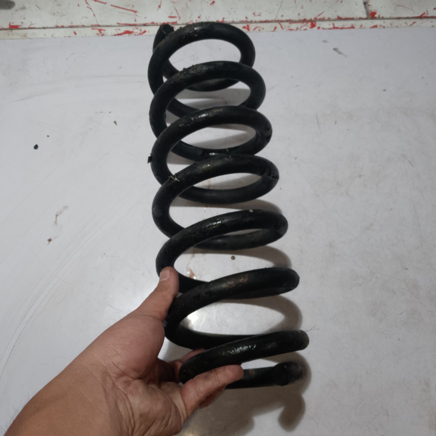 Coil Spring | Front | Nissan Almera