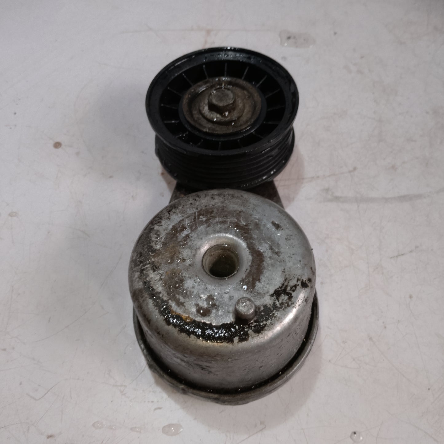 Belt Tensioner | Expedition