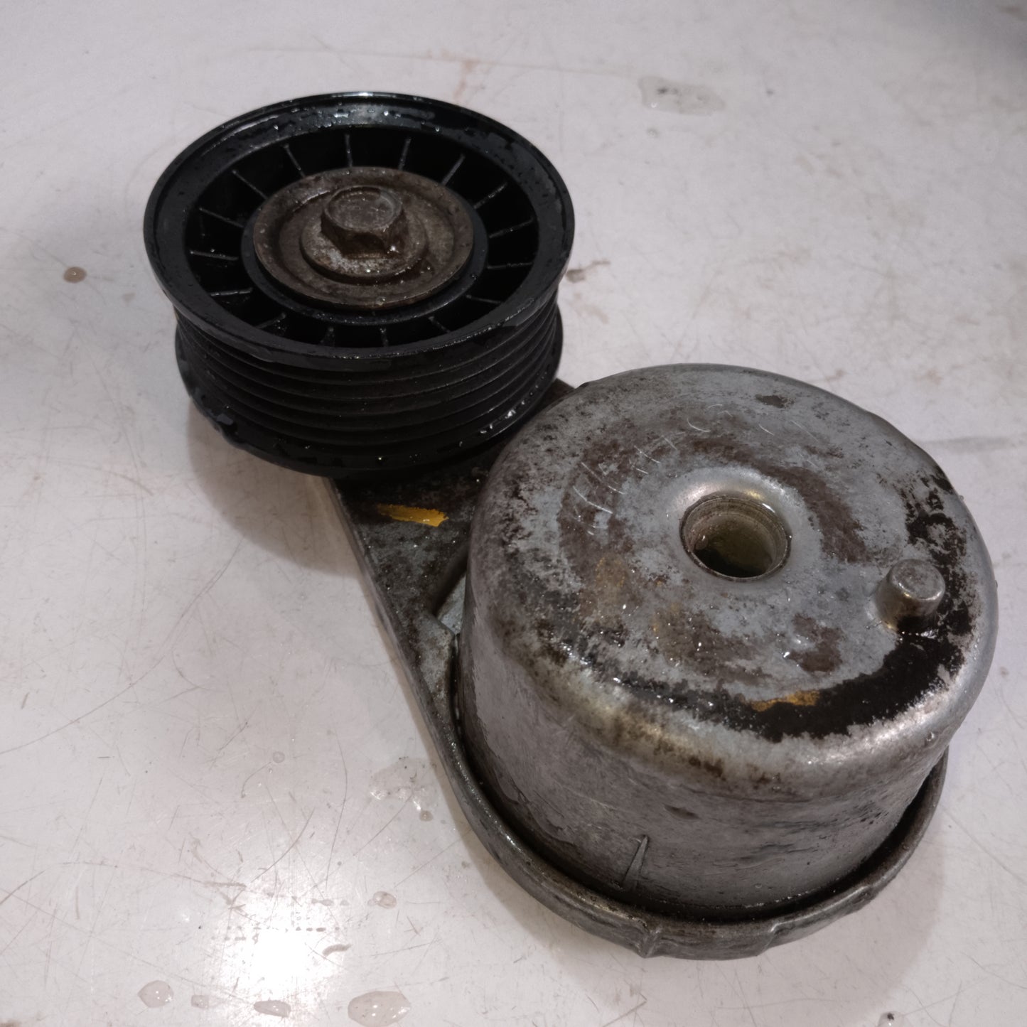 Belt Tensioner | Expedition