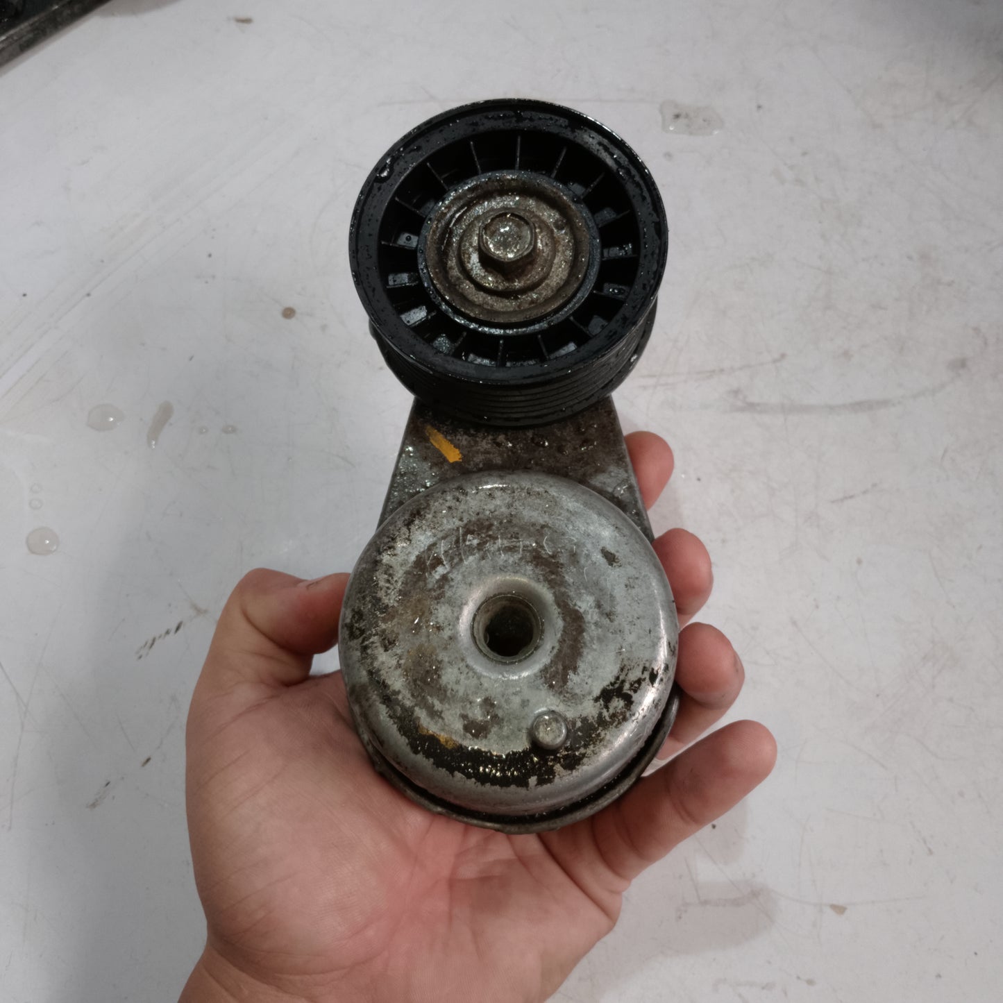 Belt Tensioner | Expedition