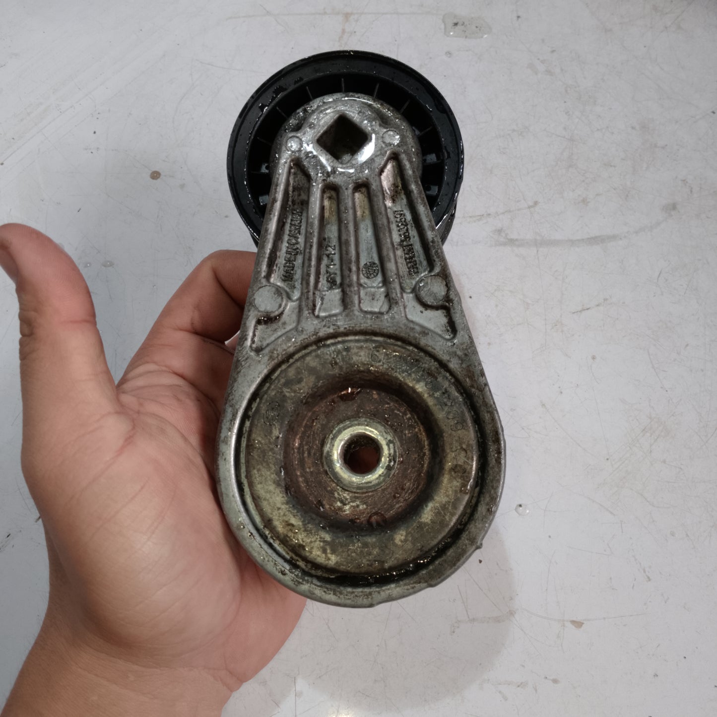Belt Tensioner | Expedition