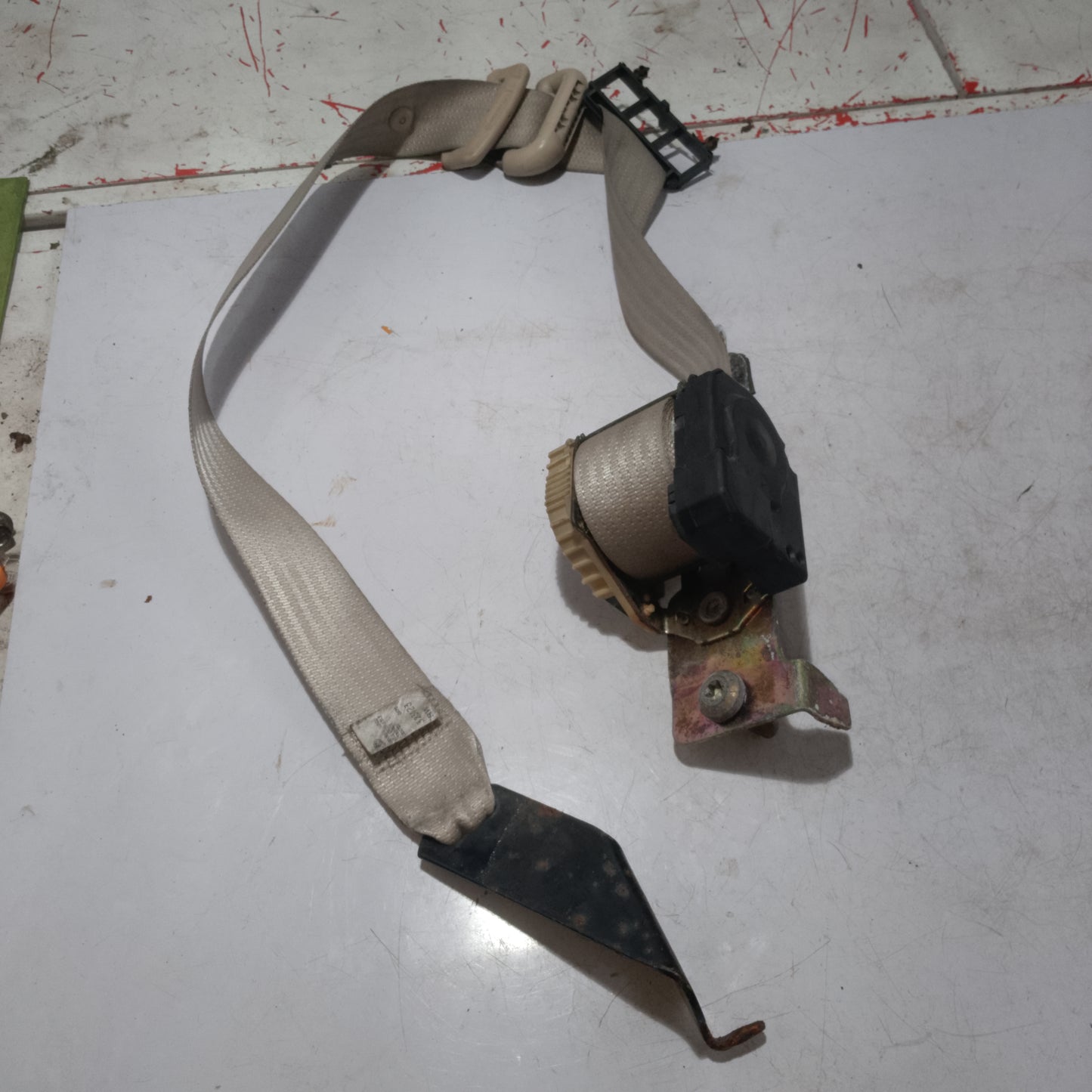 Seatbelt | Rear Passenger Side | Expedition