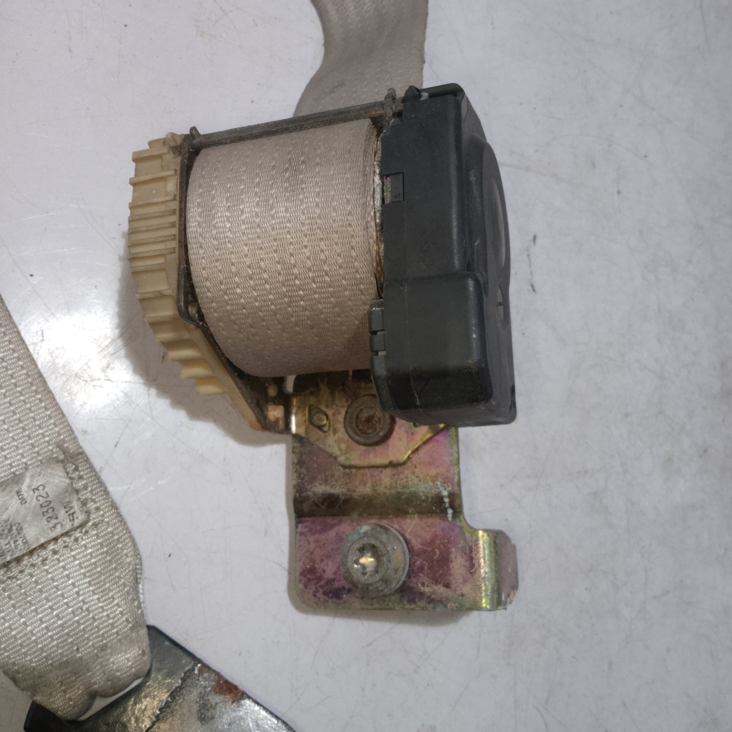 Seatbelt | Rear Passenger Side | Expedition