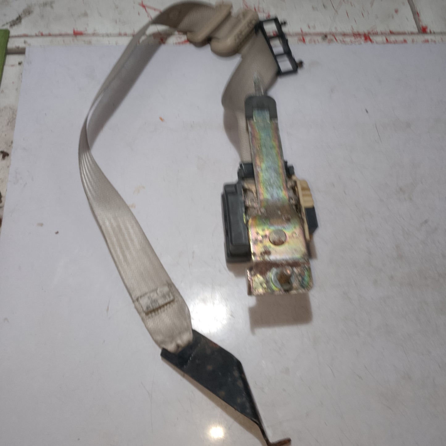 Seatbelt | Rear Passenger Side | Expedition