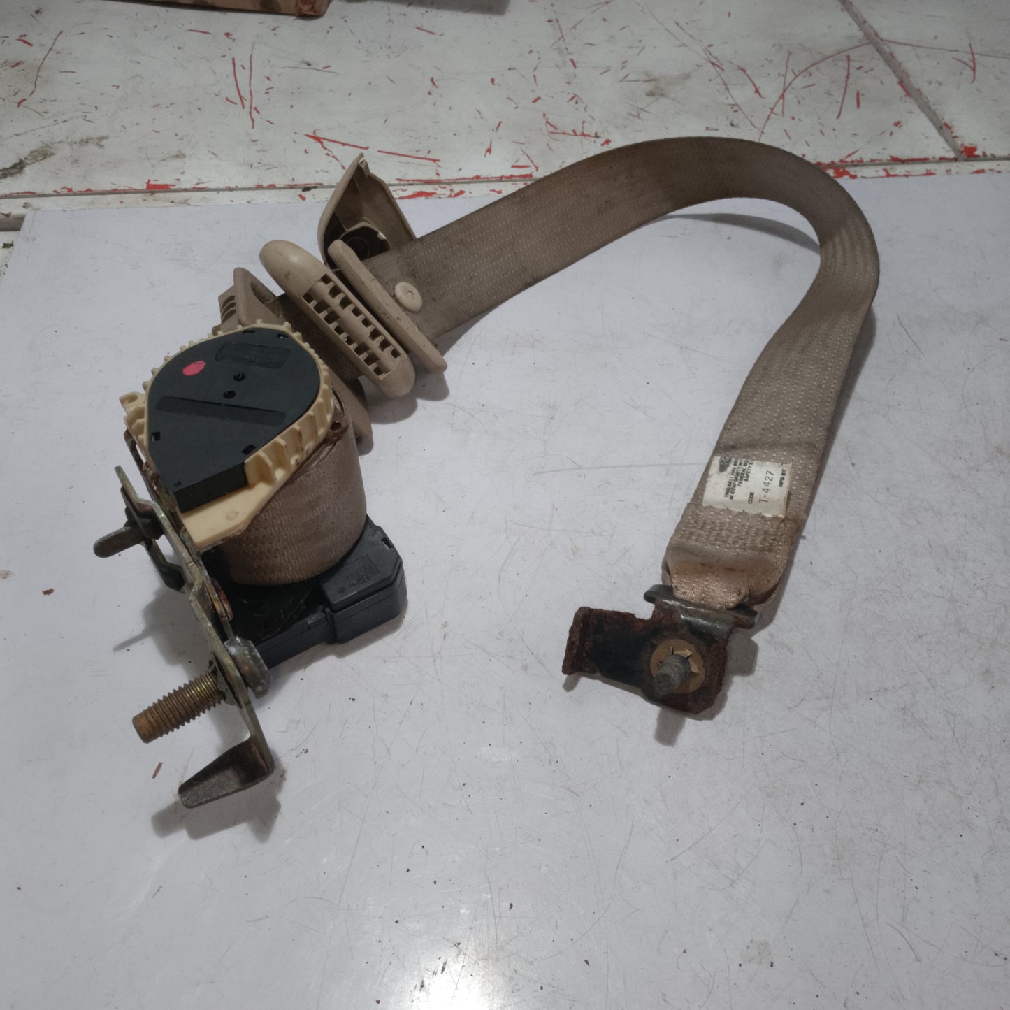 Seat Belt | Third Row Seat | Expedition