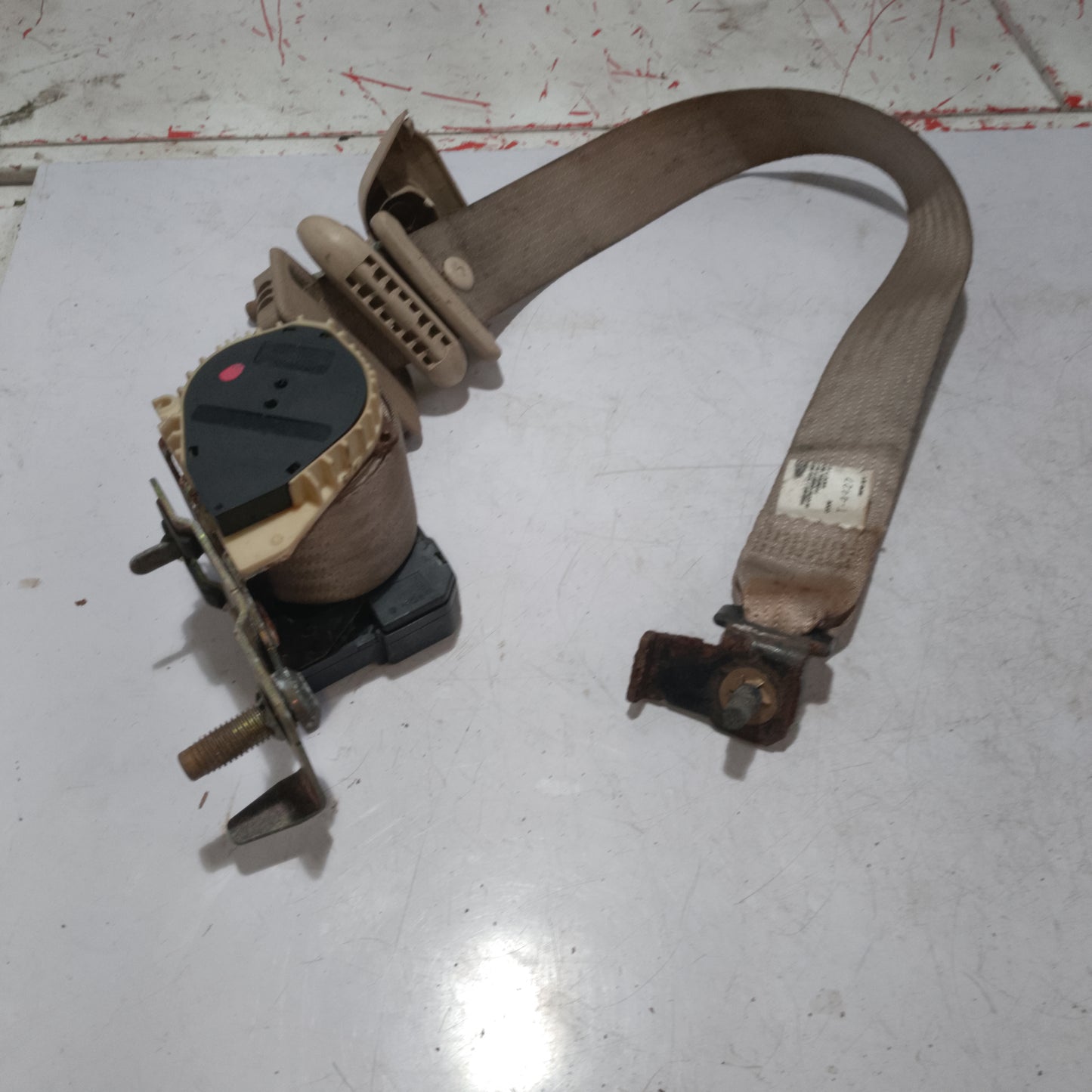 Seat Belt | Third Row Seat | Expedition