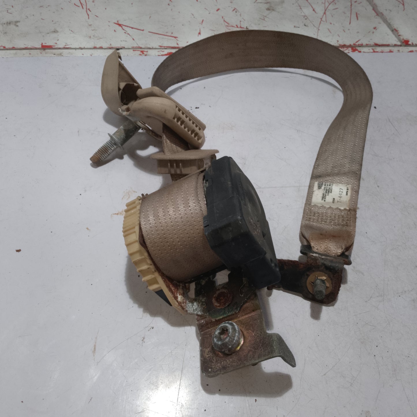 Seat Belt | Third Row Seat | Expedition