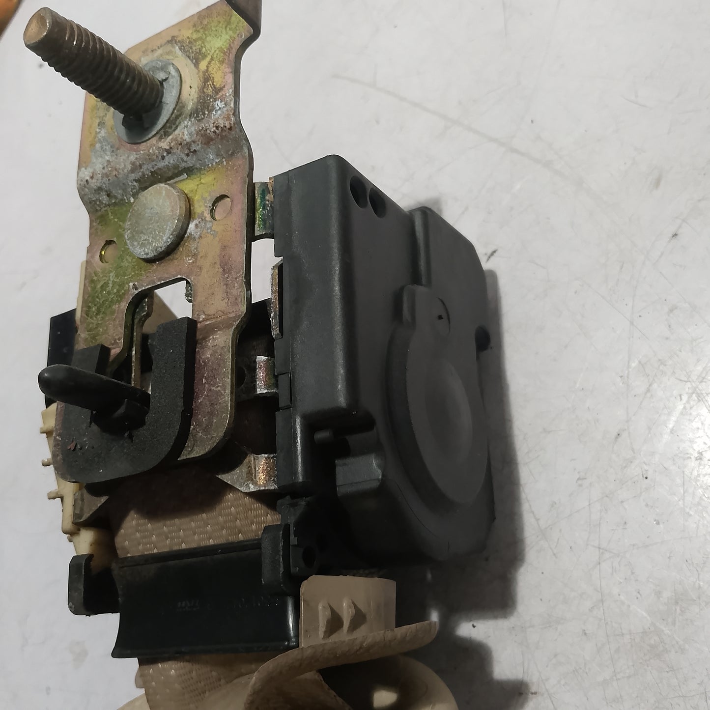 Seatbelt R/D/S | Ford Expedition