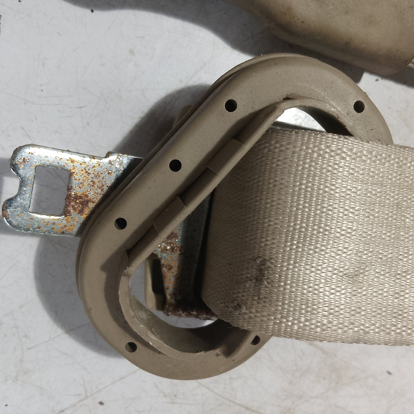Seatbelt R/D/S | Ford Expedition