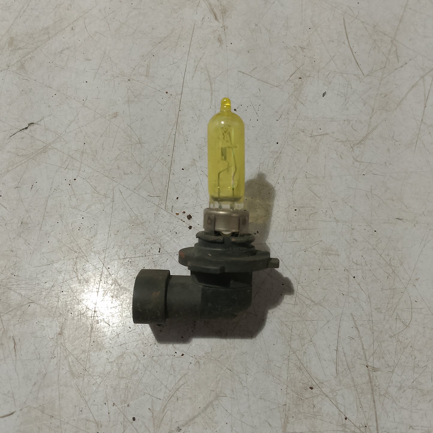 Light Bulb Socket w Bulb | Ford Expedition
