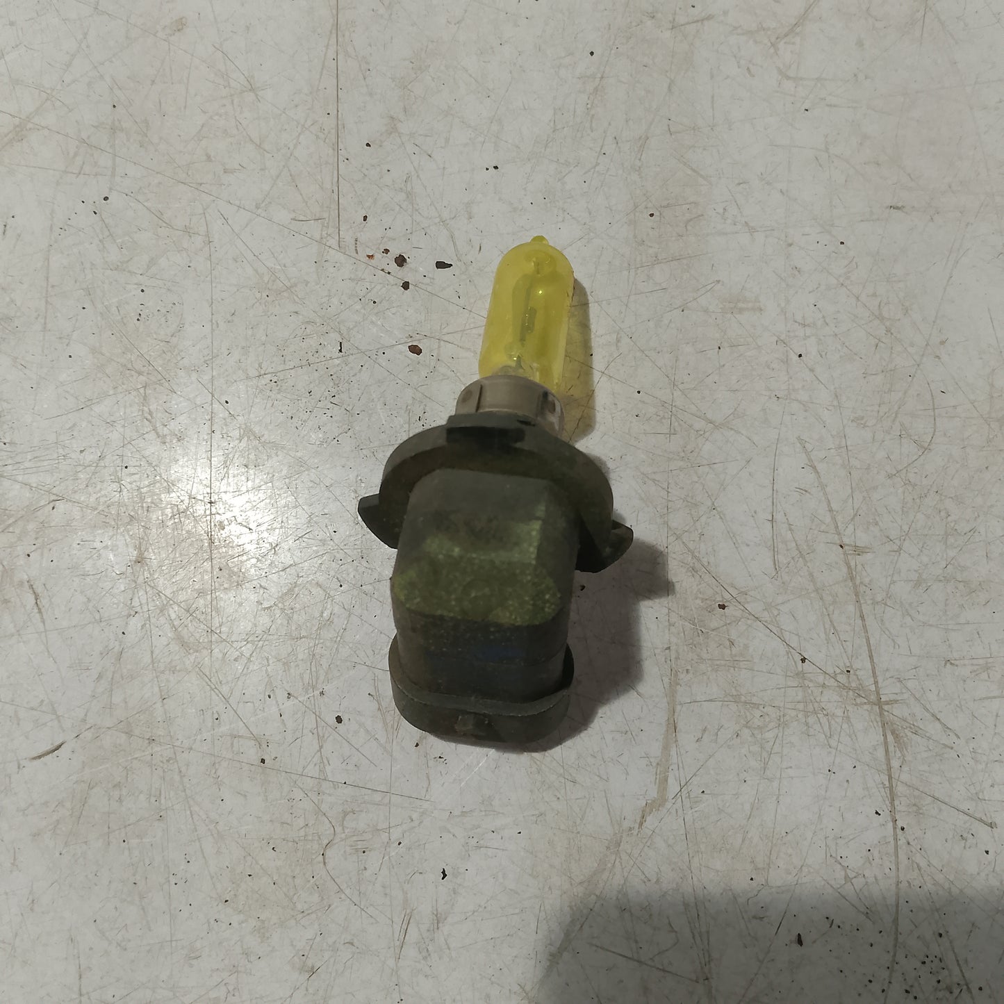 Light Bulb Socket w Bulb | Ford Expedition