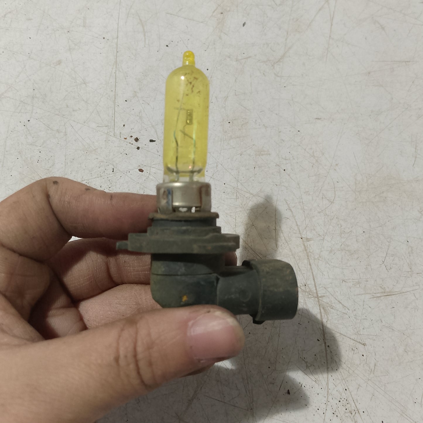Light Bulb Socket w Bulb | Ford Expedition