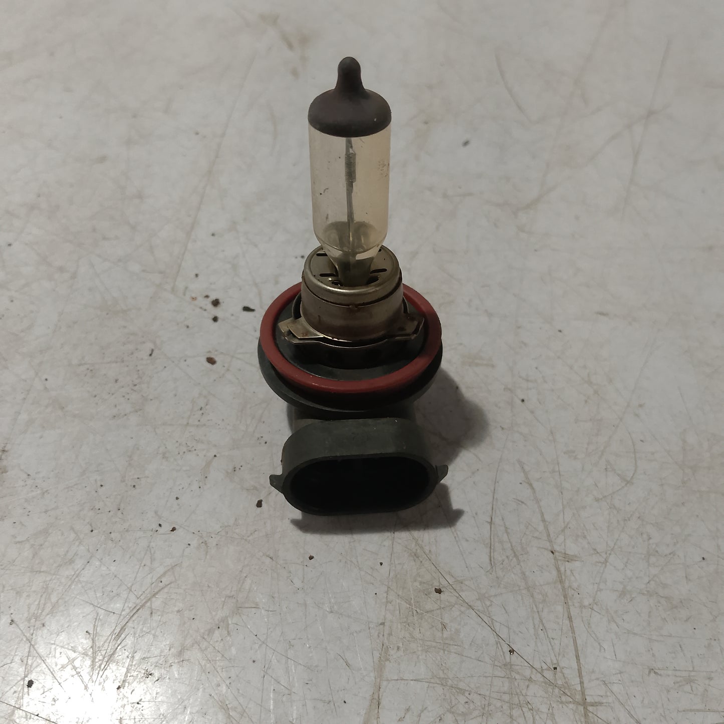 Light Bulb Socket w Bulb | Ford Expedition