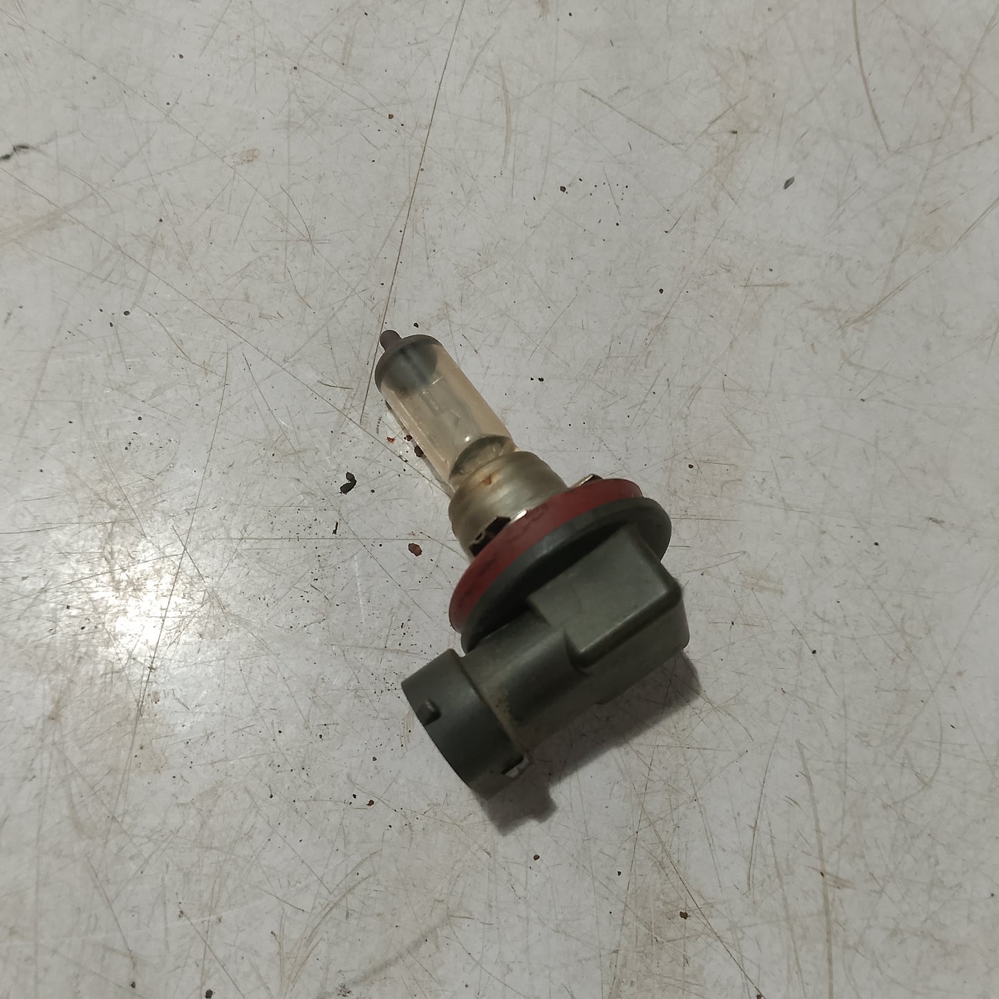 Light Bulb Socket w Bulb | Ford Expedition