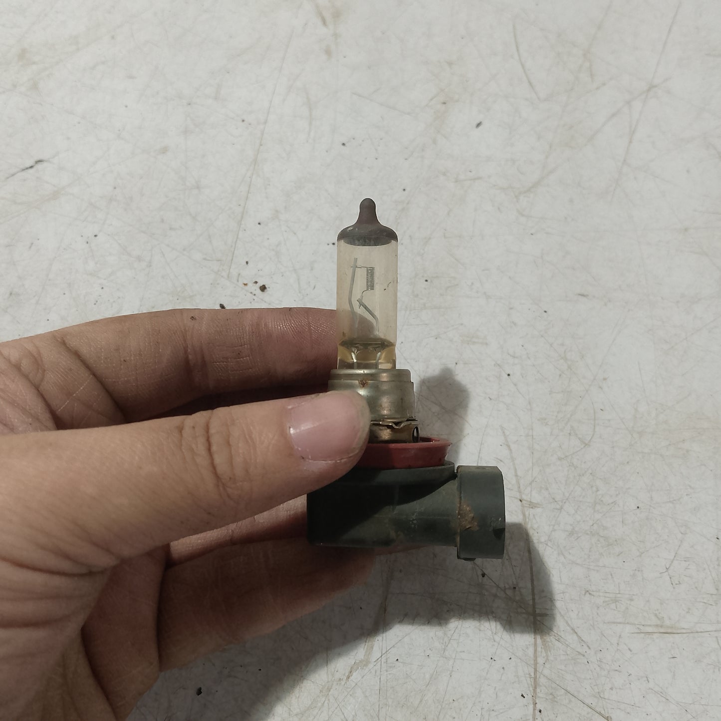 Light Bulb Socket w Bulb | Ford Expedition
