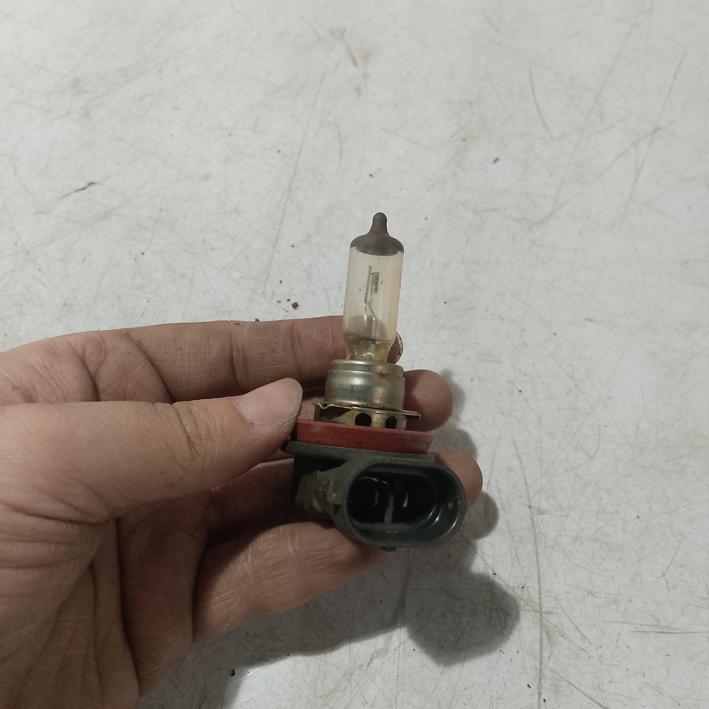 Light Bulb Socket w Bulb | Ford Expedition