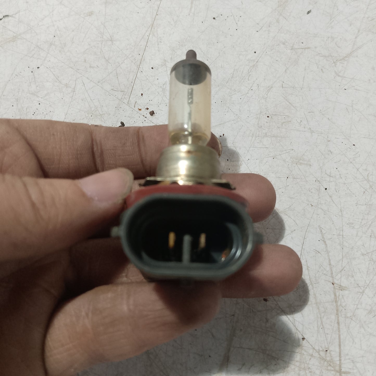 Light Bulb Socket w Bulb | Ford Expedition