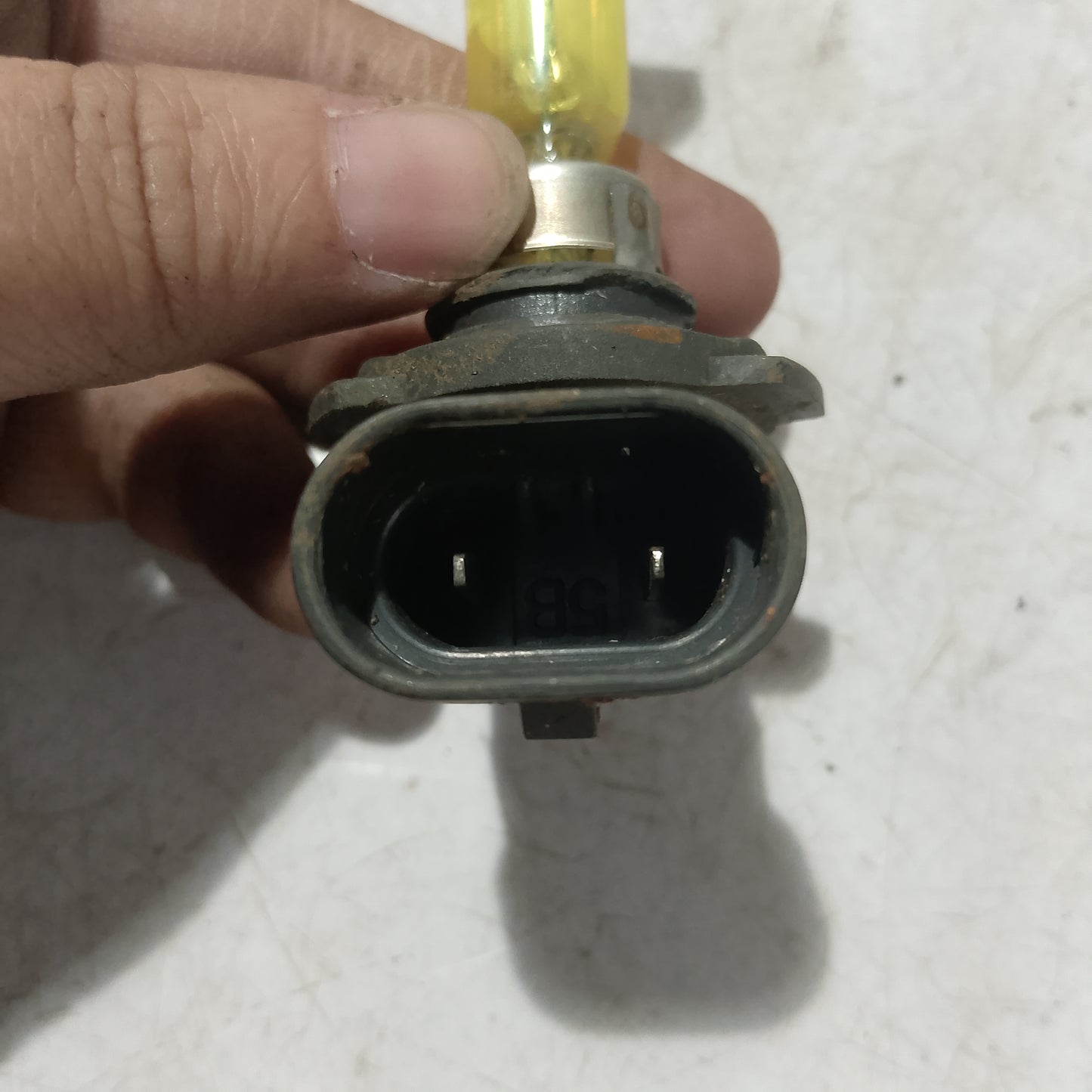 Light Bulb Socket w Bulb | Ford Expedition