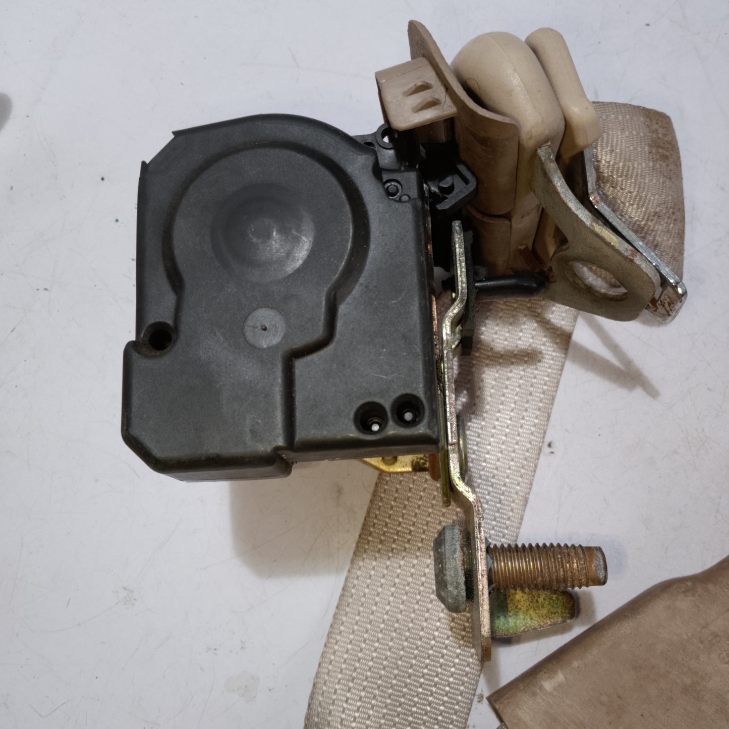 Seat belt rear passenger side ford expidition