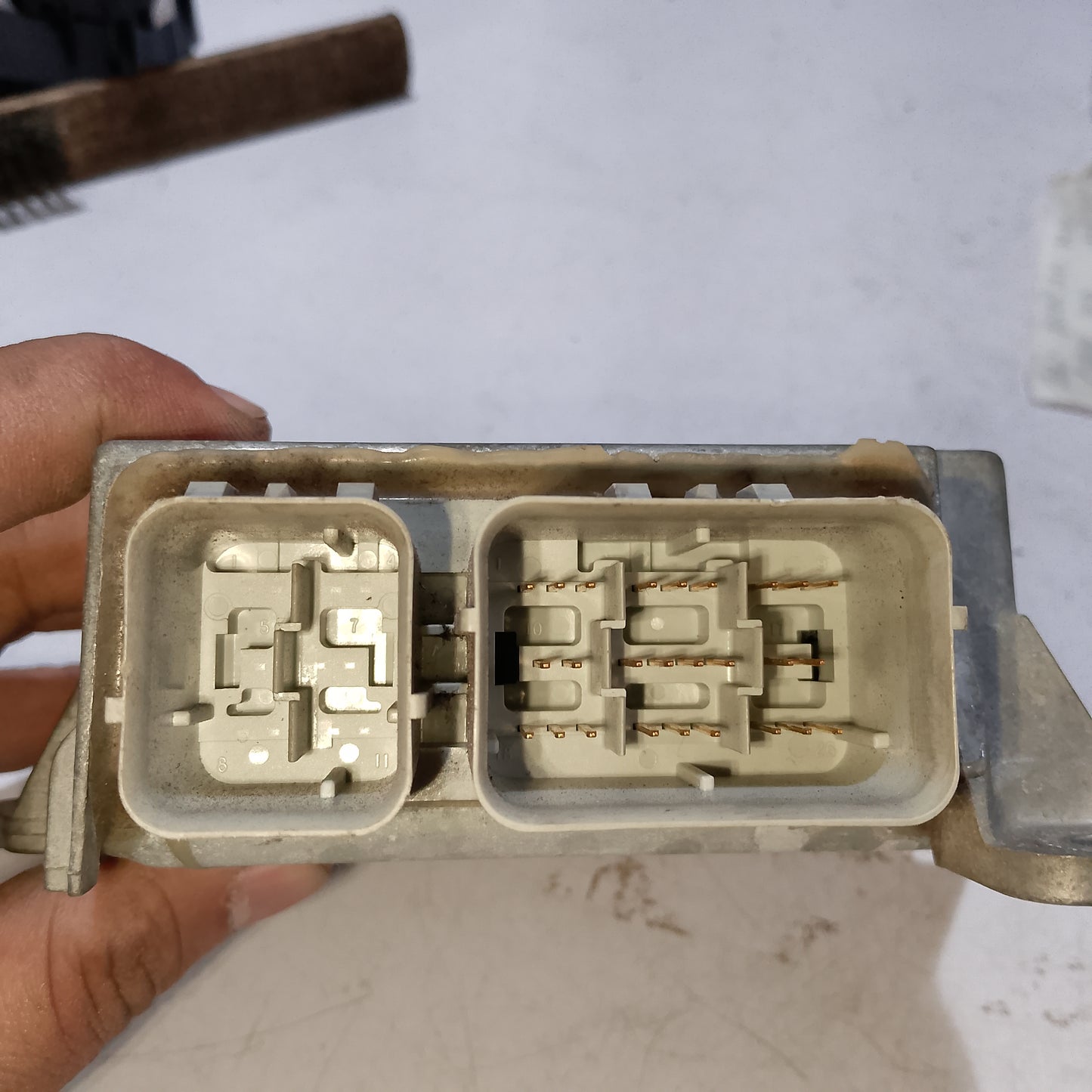Restraint Control Module | Expedition