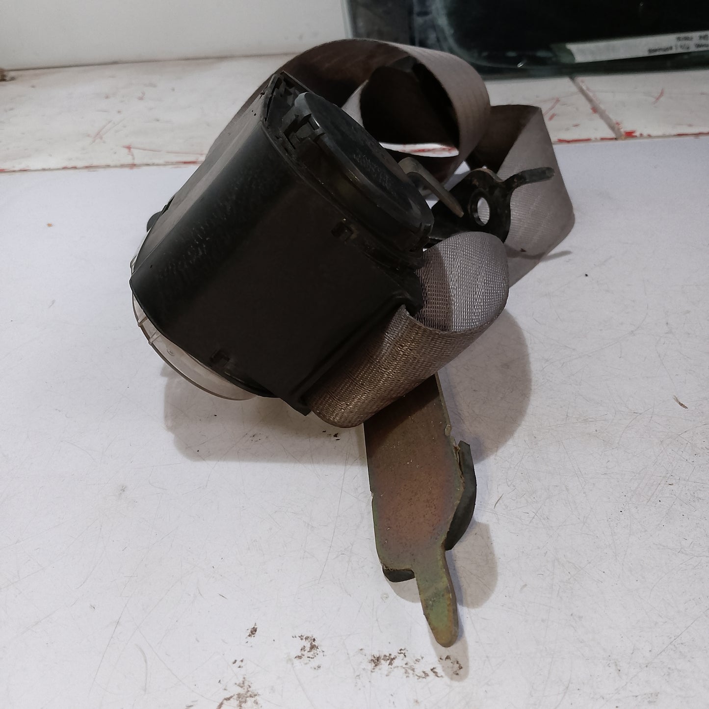 Seat Belt Assembly | Expedition