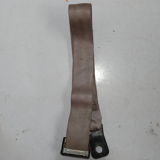 Rear Seat Belt