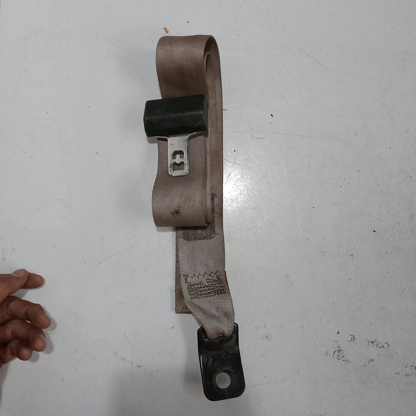 Rear Seat Belt