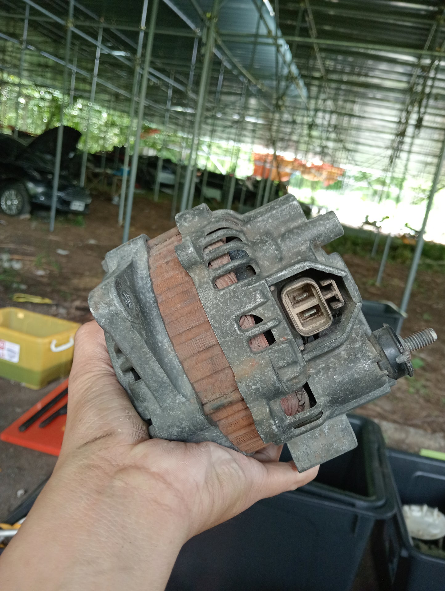 Nissan Exalta | Alternator