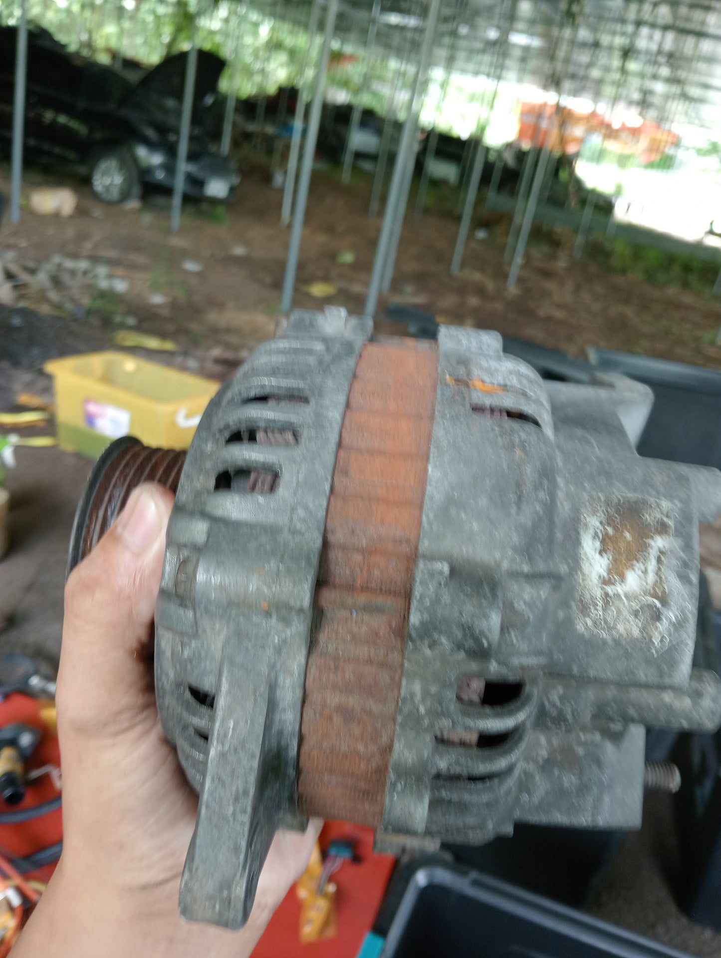 Nissan Exalta | Alternator