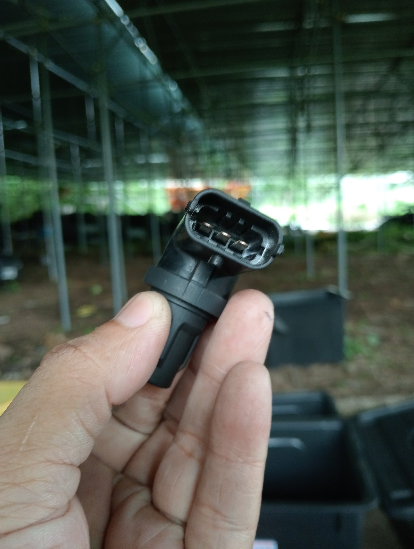 Ford Focus | 2.0 | Camshaft Sensor