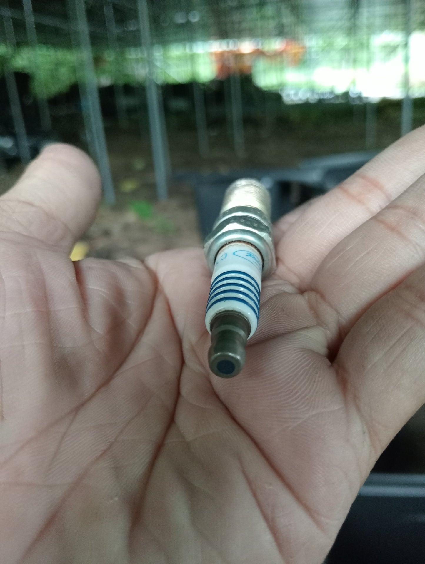 Ford Focus | 2.0 | 1pc Spark Plug