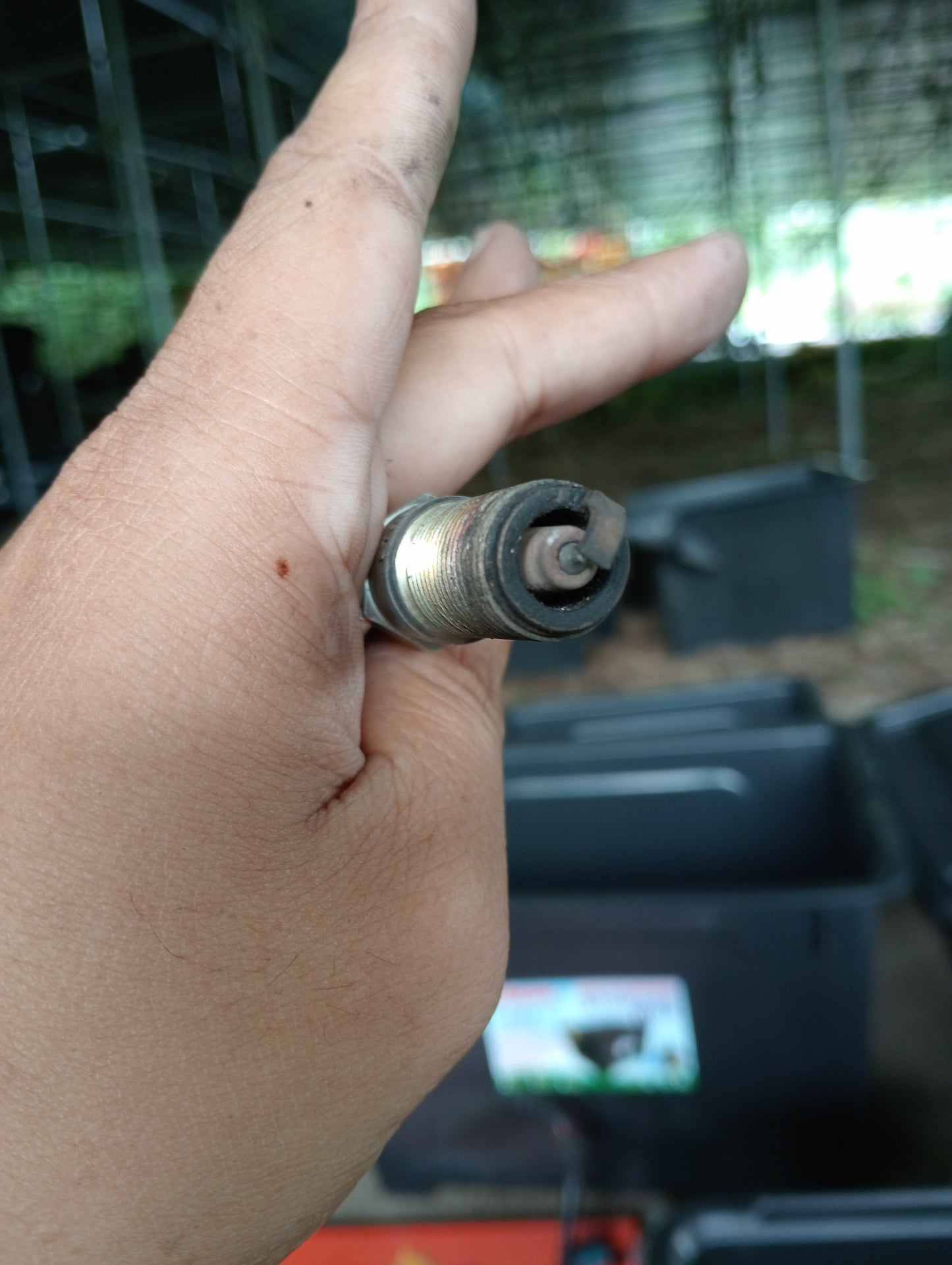 Ford Focus | 2.0 | 1pc Spark Plug