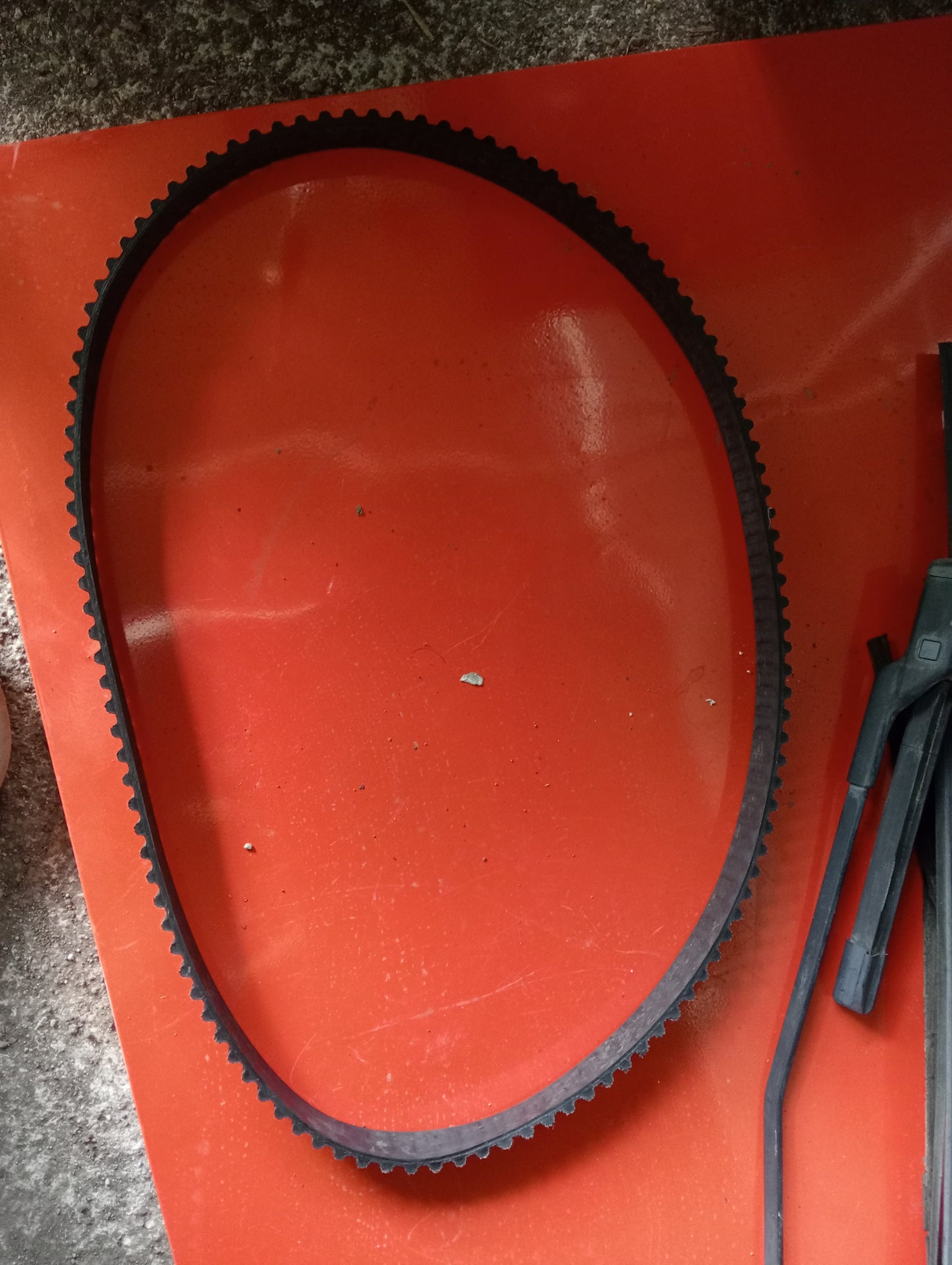 Ford Fiesta 1.6 | Drive Belt