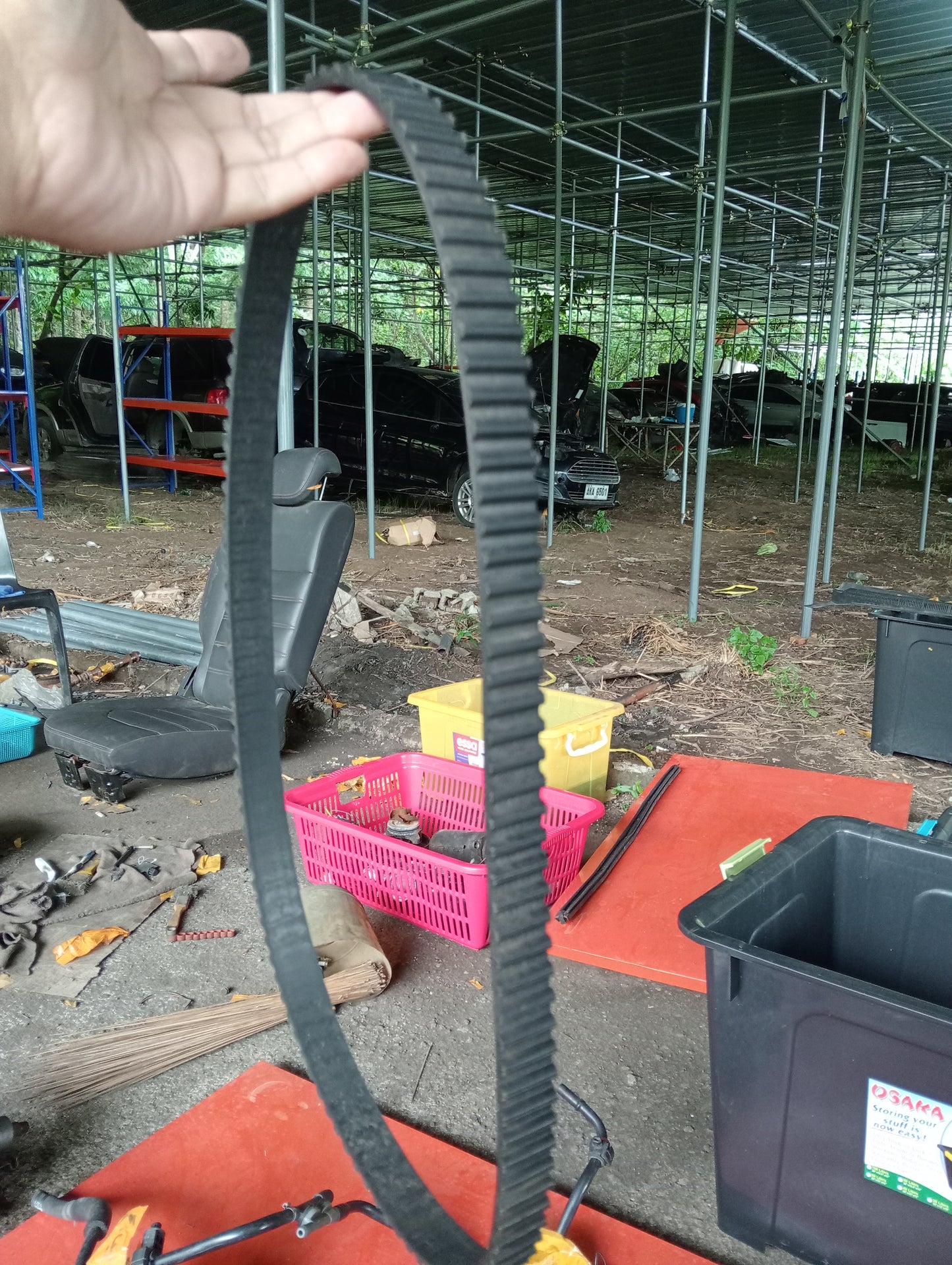 Ford Fiesta 1.6 | Drive Belt