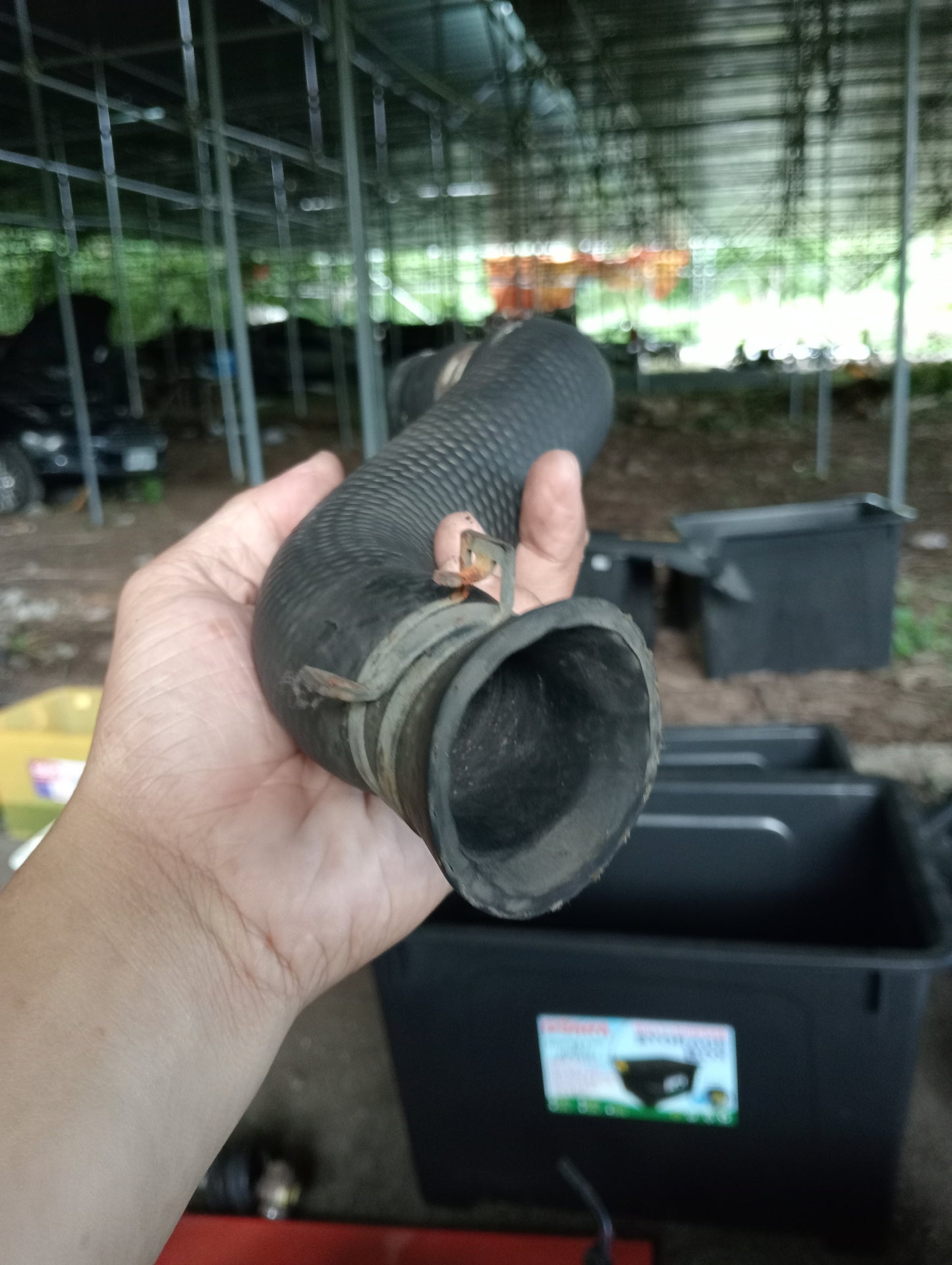 Ford Escape | 2.3 | Lower Radiator Hose