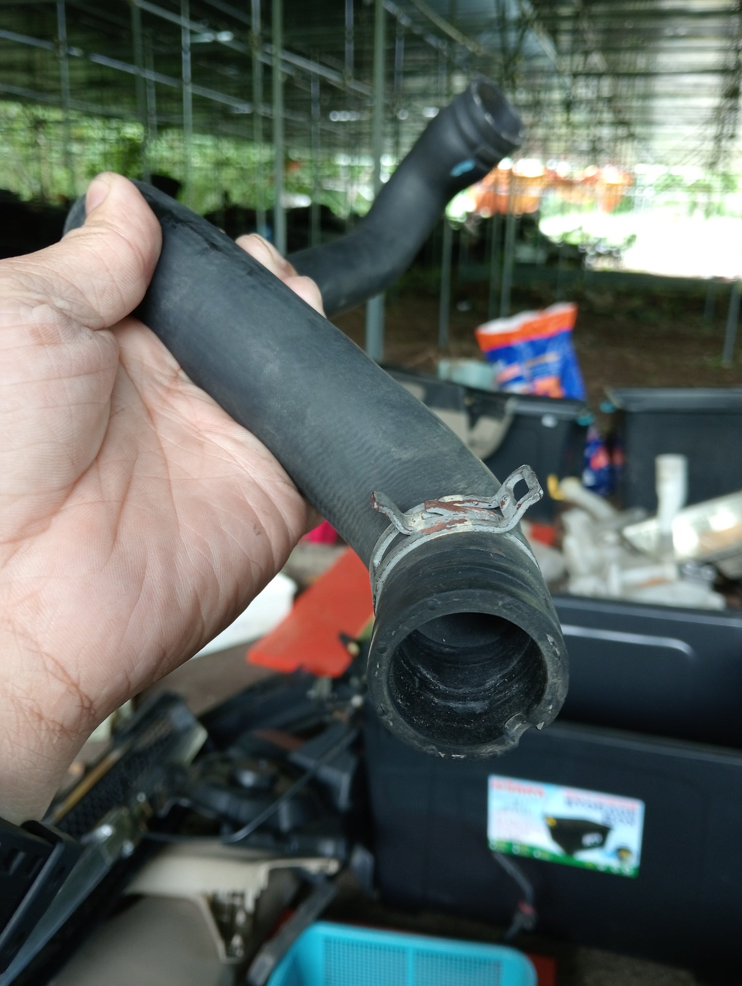 Ford Ecosport | 1.5 | Coolant Hose