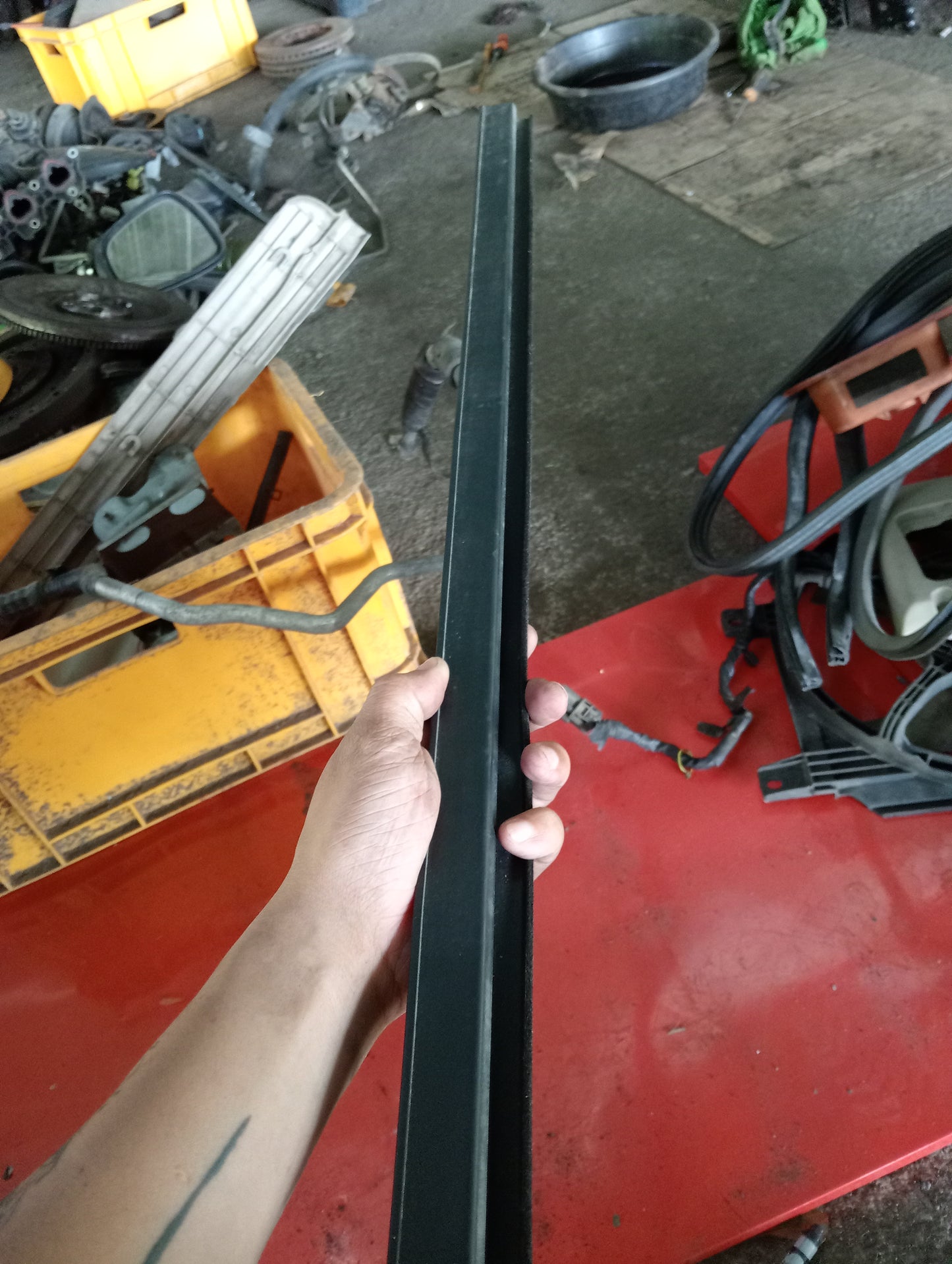 Nissan Exalta | Weather Strip
