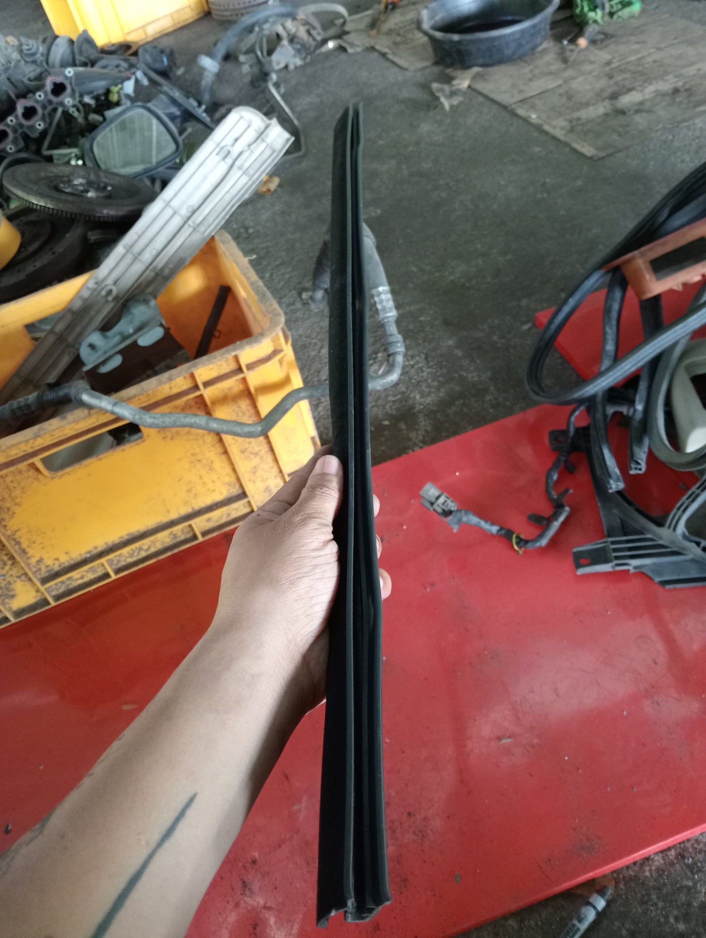 Nissan Exalta | Weather Strip