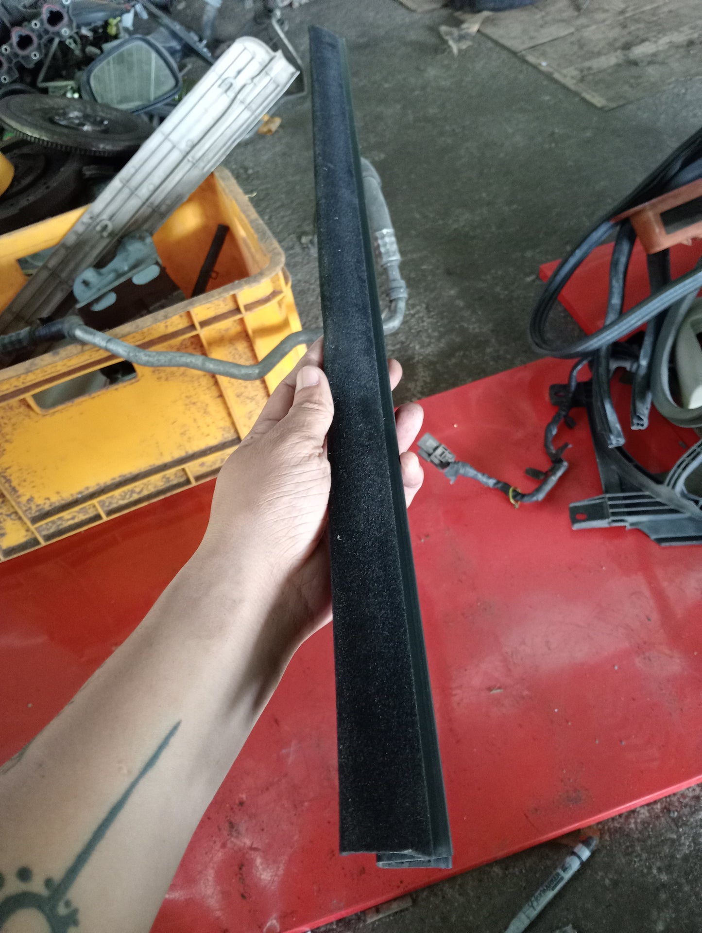 Nissan Exalta | Weather Strip