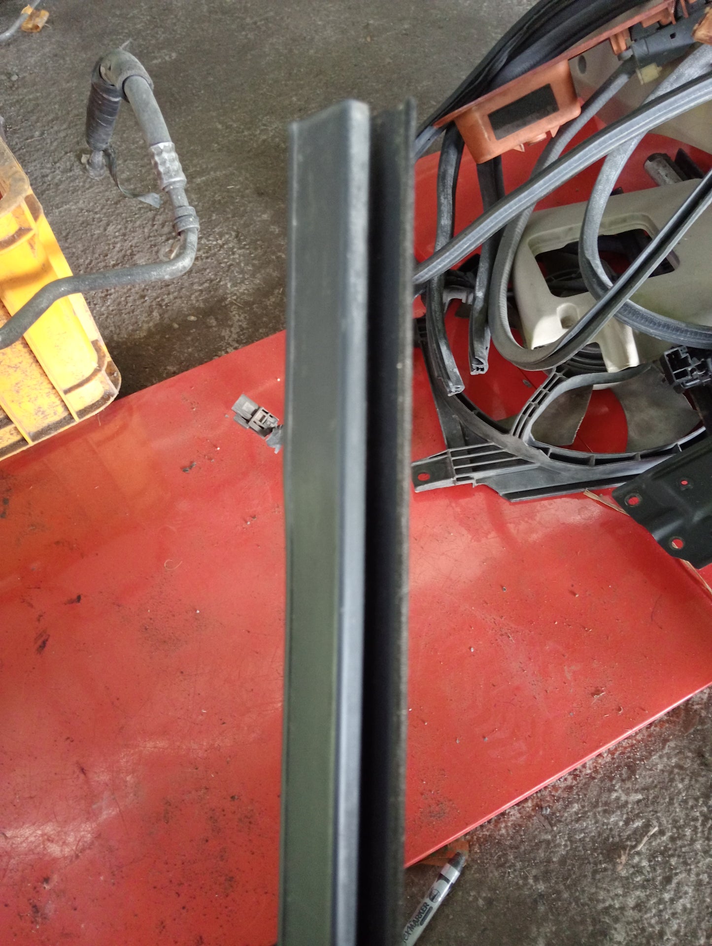 Nissan Exalta | Weather Strip
