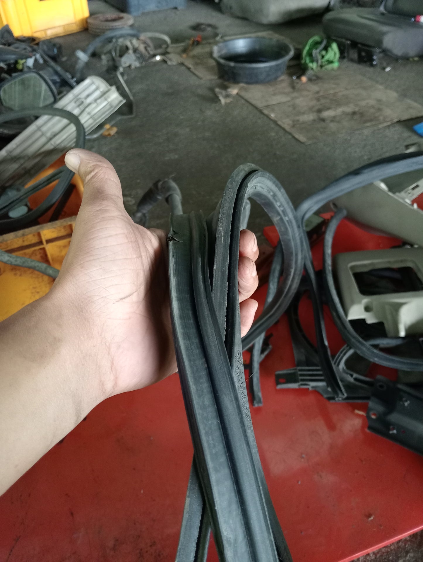 Nissan Exalta | Door Rubber Mouldings