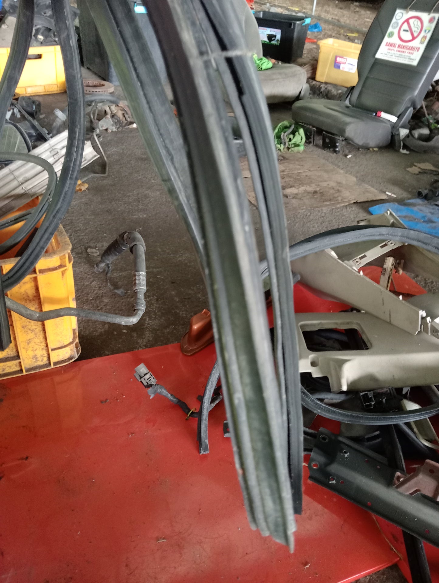 Nissan Exalta | Door Rubber Mouldings