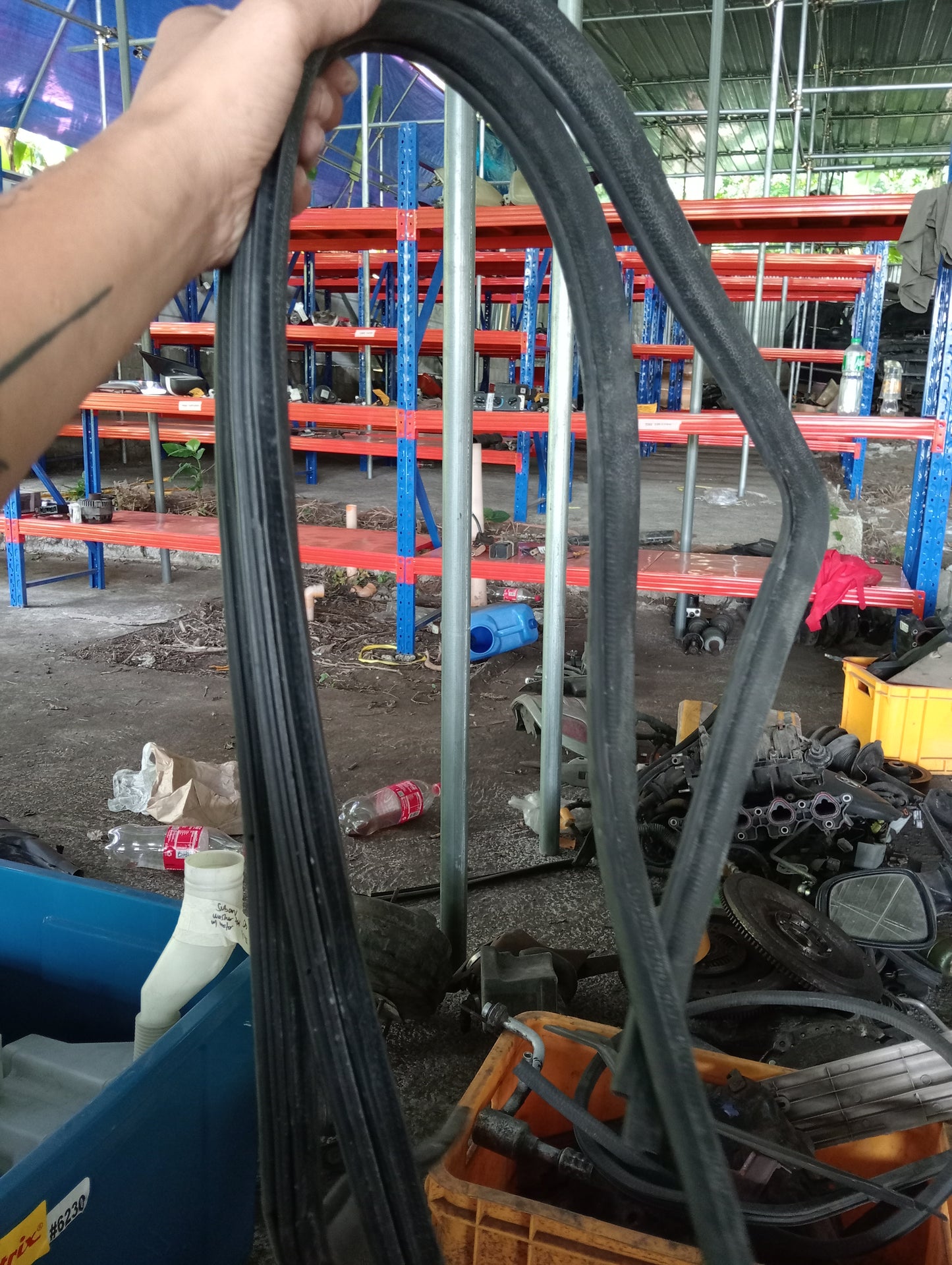 Nissan Exalta | Door Rubber Mouldings