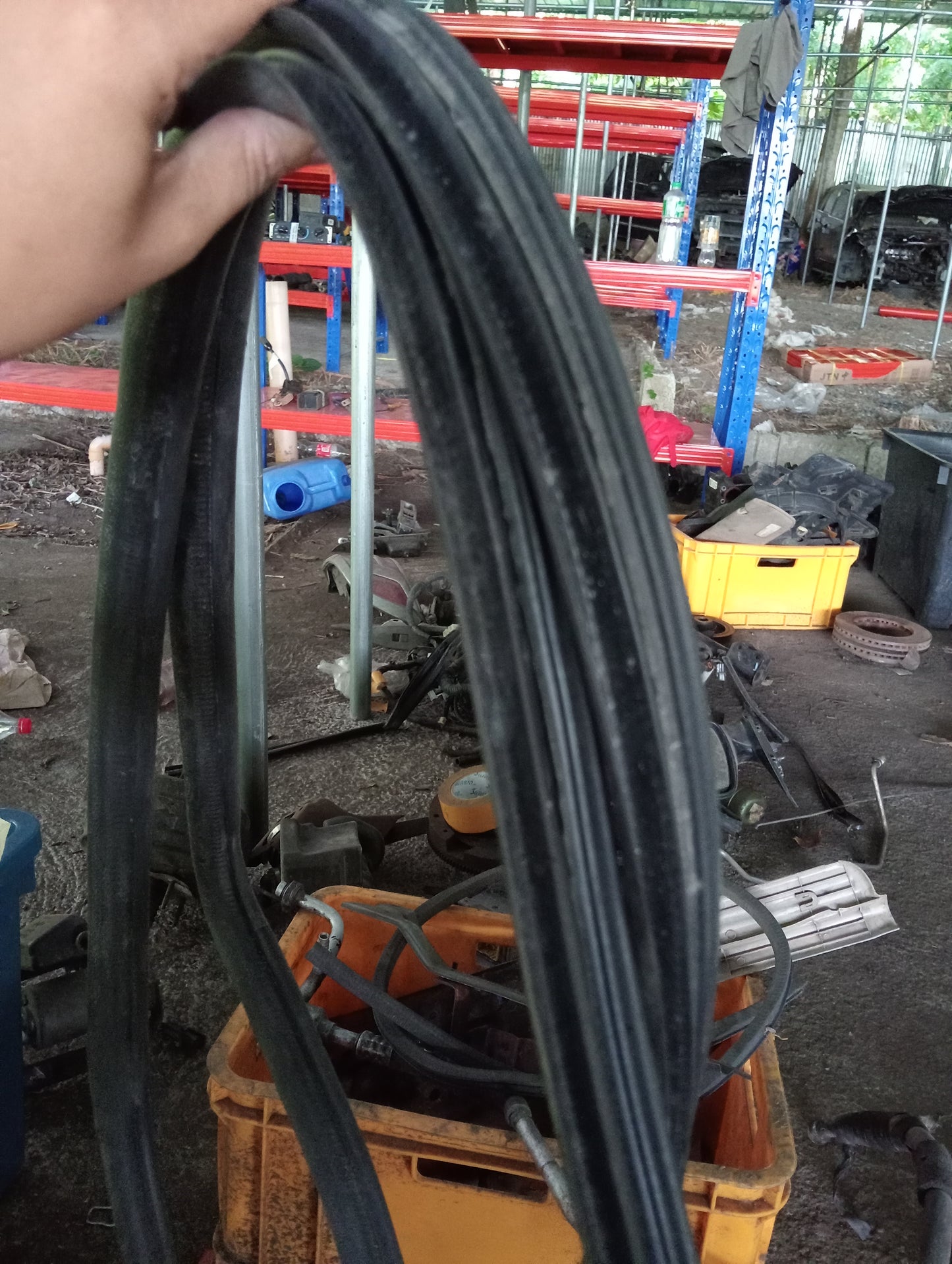 Nissan Exalta | Door Rubber Mouldings