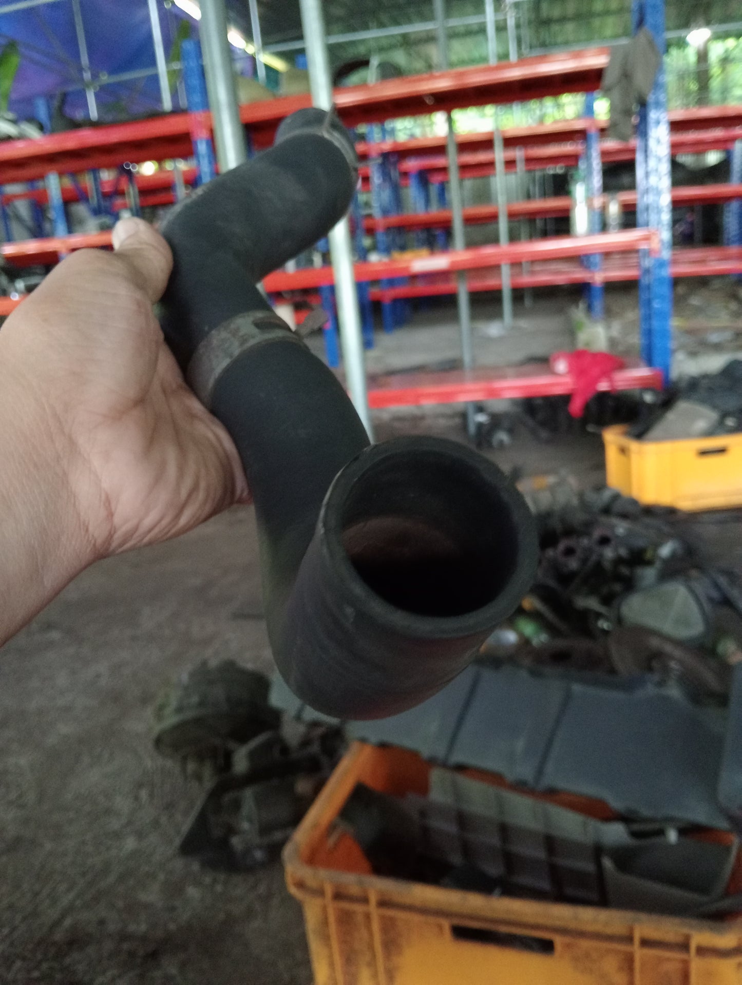 Nissan | X-Trail | Lower Radiator Hose